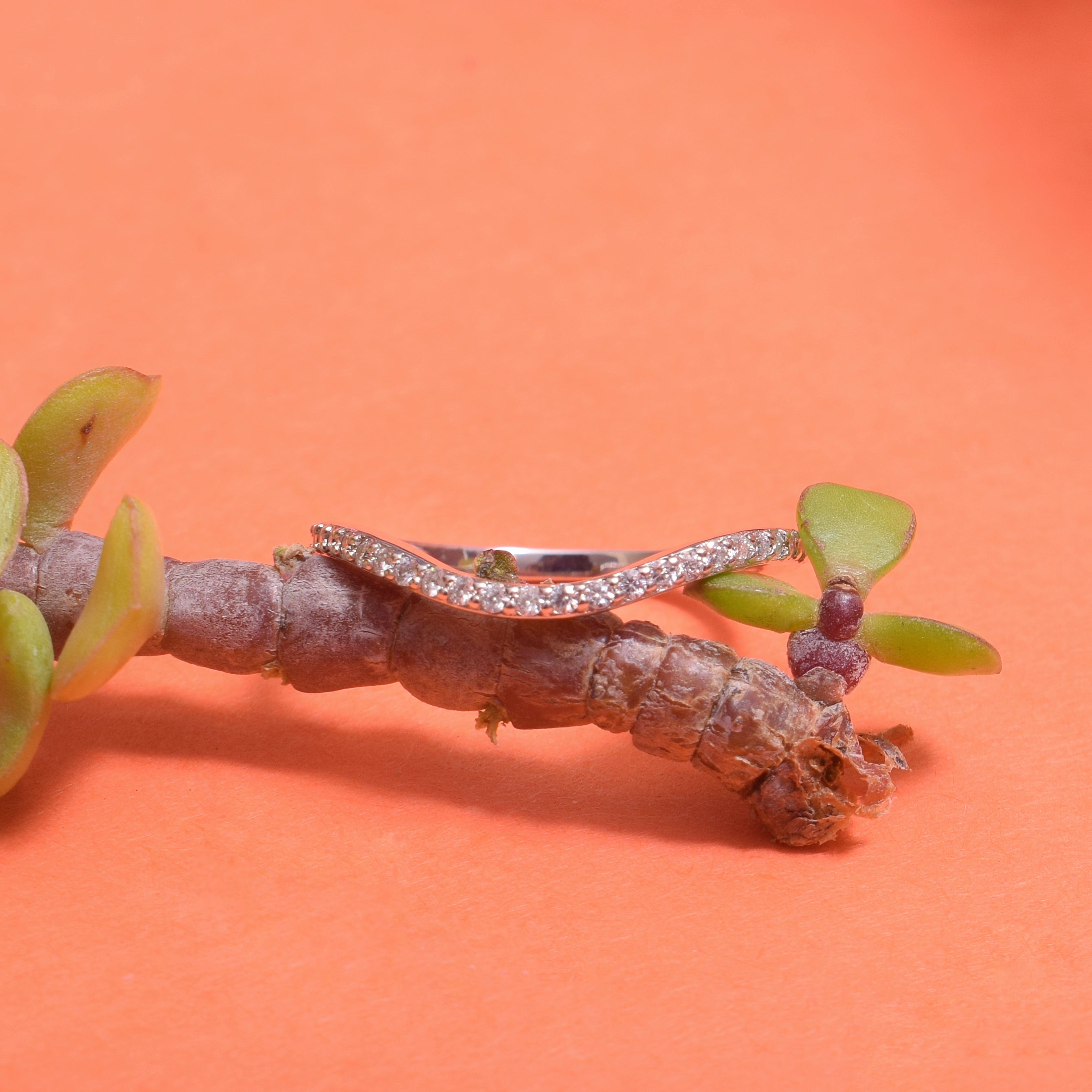 Curved Band Ring in Sterling Silver with Moissanite